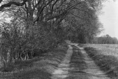 Image-1-29
