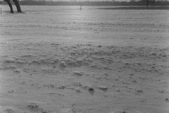 Image-1_